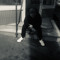 sparkthedancehall