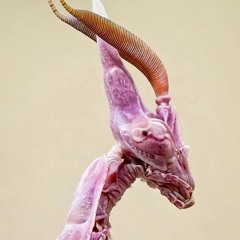 Dean Winchester's Impala Playlist