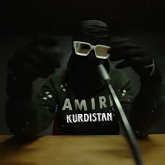 amir kurdistan
