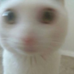 oNNé