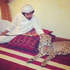 budhbai playlist