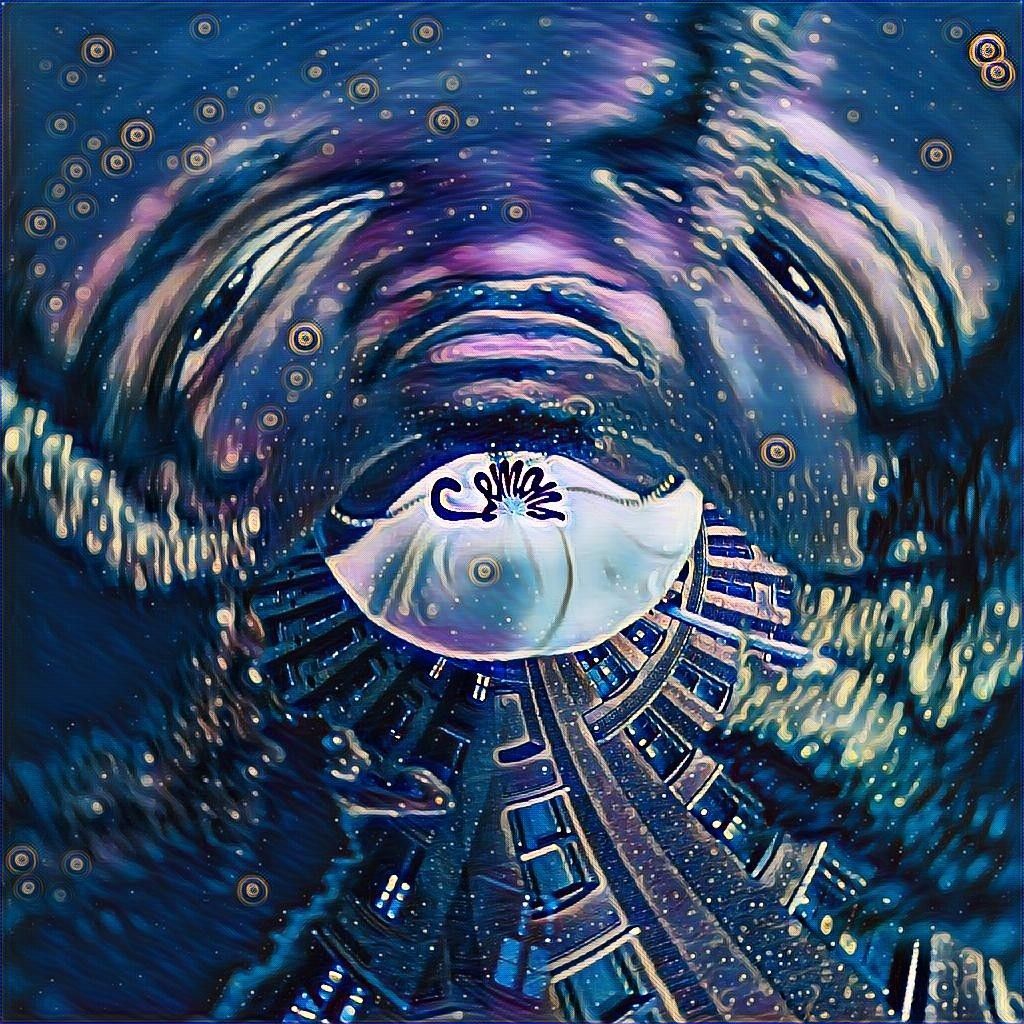 Soul Zone Productions LLC podcast artwork
