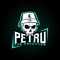 Petru The Producer