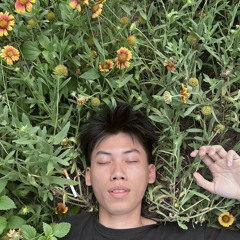 Hieu Nguyen