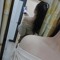 almaday
