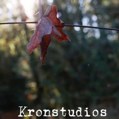 Kronstudios