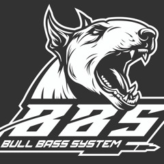 Bull Bass System