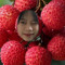 lychee