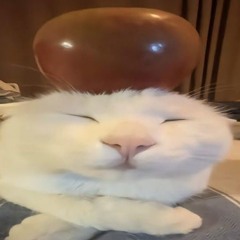 :3