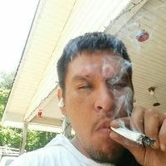 Darren Beaver