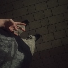 szaftergg