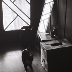 Hamish O'Malley King