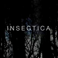 INSECTICA