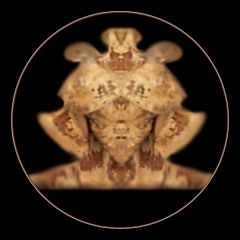 ႦลｍႦᎥɱႦ๏𝕞   <- ¦p¦systaltic ->