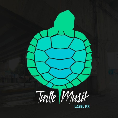 Turtle Musik’s avatar