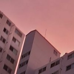 막걸리중독걸린사람