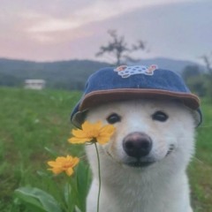 ☮︎✌︎︎