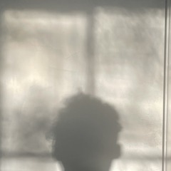Roombot