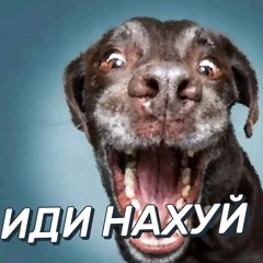 tvoya_maty