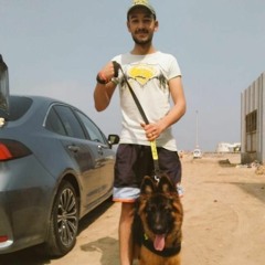 Medo Elghobashy