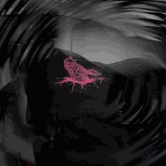 5 years of mashups from the gutter