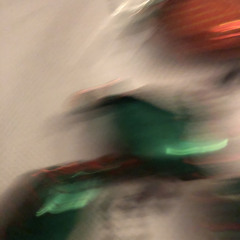 ant
