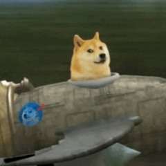 Doge_Pro