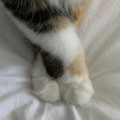 Edifying Music✝️💕