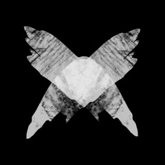 Flo_Neuro