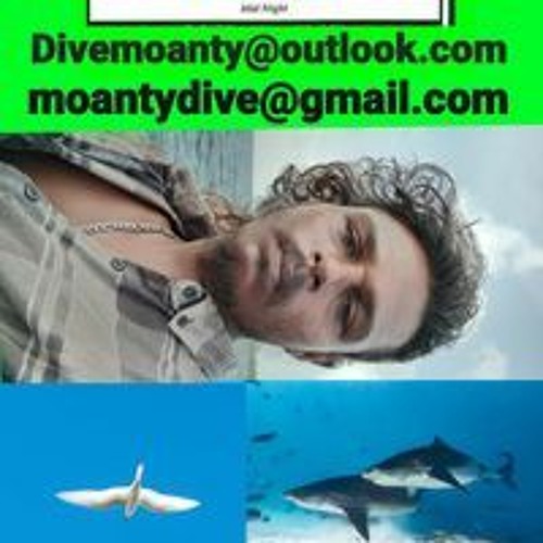 Dive Moanty’s avatar