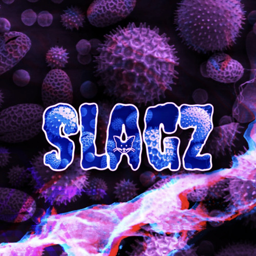 SlagZ’s avatar