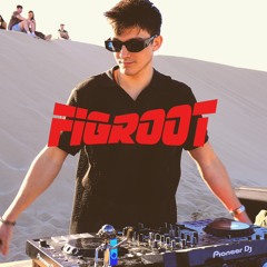 Figroot