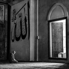 Moustafa Abu Ahmed