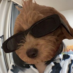 Дария Бондар