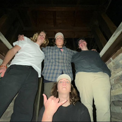 vaseline the band