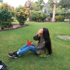 Noor ul ain Junejo