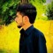 Raja Shahzaib