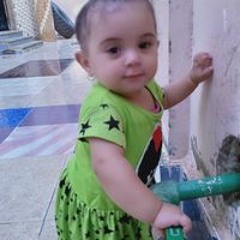 ابو ابراهيم المملكه