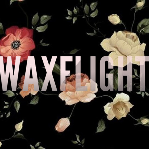 waxflight’s avatar