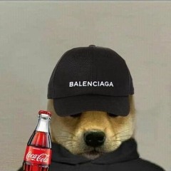 Doge