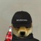 Doge