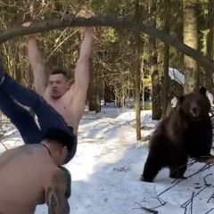 Yogi Bear