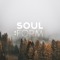 Soul:Form