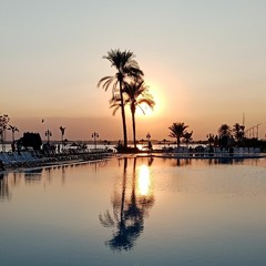 Yasmean El-shenawy