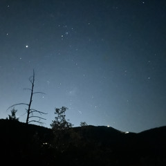 !nsomnia