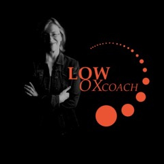 Low Ox Coach