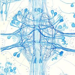 я̴̨͕̮͕̠̯̜͚́͂̄͘͝н̵̛̳͖̲̻͒̿̀̓̿́̈́̊а̴̛̝͉͑̇̋̅̚̕͠