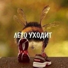 хуй пизда