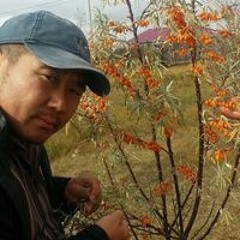 Гомбын Нямбаяр