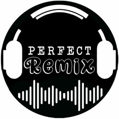 Perfect Remix